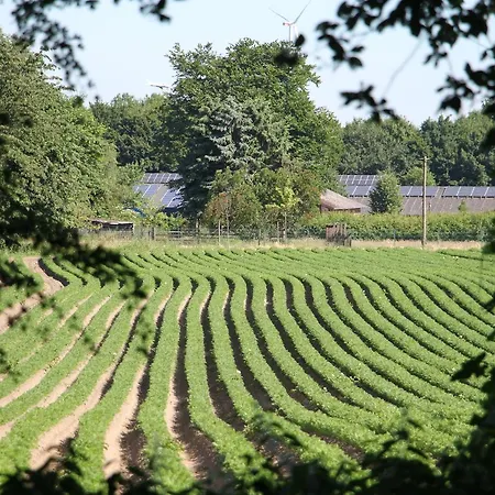 Gaestehaus Alte Schule Recklinghausen