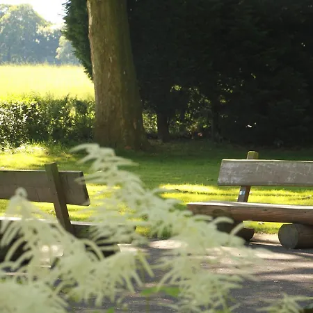 Hotel Gaestehaus Alte Schule 3*