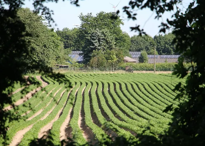 Gaestehaus Alte Schule Recklinghausen